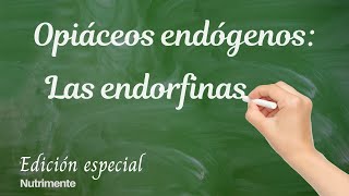 Opiáceos endógenos Las ENDORFINAS [upl. by Terrye286]