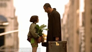 Leon The Professional  Ok [upl. by Heady14]