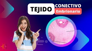 Tejido Conectivo Embrionario  HISTOLOGÍA [upl. by Aneerehs]