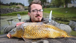 Is This Fish Edible Carp Catch and Cook [upl. by Yelda]