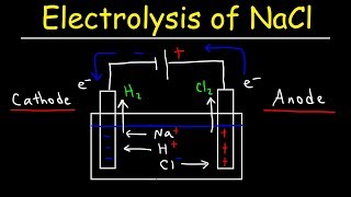 Electrolysis of Sodium Chloride  Electrochemistry [upl. by Yblek222]