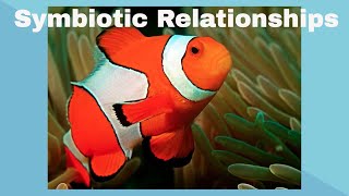 Examples of Symbiotic Relationships [upl. by Ponce]