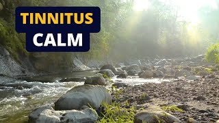 Tinnitus Relief Sound Therapy  Ambient River White Noise [upl. by Rengia]