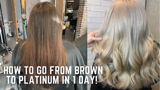 How to go from Brown to Platinum in one day  color correction tutorial transformation demi hair dye [upl. by Abbie]