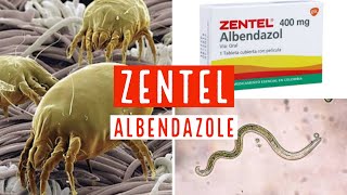 ZENTEL 400 mg ALBENDAZOLE [upl. by Ainesy]