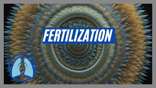 Understanding Fertilization [upl. by Yaniv]