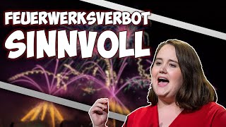 DESHALB FEUERWERKSVERBOT SINNVOLL [upl. by Thacker230]