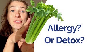 Celery Juice  Am I allergic or is it a detox reaction Warning Signs Alternatives Allergy Tests [upl. by Solon128]