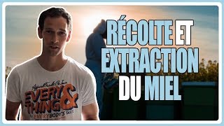 récolte et extraction du miel [upl. by Ott]