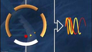 Fourier Transform Ion Cyclotron Resonance Mass Spectrometry [upl. by Ranna]