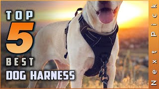 Top 5 Best Dog Harnesses Review  For Large Dogs To Stop Pulling 2023 [upl. by Dante964]