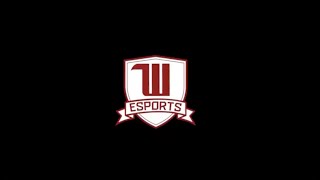 Welcome Wittenberg Esports [upl. by Innavoij]