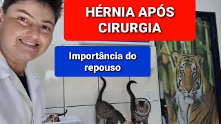 O que é hérnia abdominal [upl. by Marras]