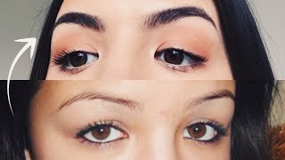 HOW TO GROW THICKER EYEBROWS NATURALLY amp FAST [upl. by Giuliana]