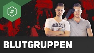 Blutgruppen bestimmen – Live Experiment [upl. by Ingrid327]