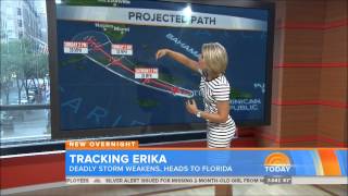 Dylan Dreyer The Today Show [upl. by Llenrev]