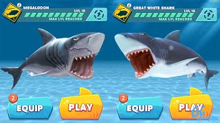 MEGALODON vs GREAT WHITE SHARK Hungry Shark Evolution [upl. by Doownelg]