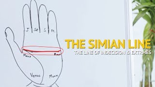 Palmistry  Understanding the SIMIAN line Indecisive amp Extreme Personality [upl. by Reave]