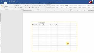 Excel werkblad gebruiken in Word [upl. by Younglove559]