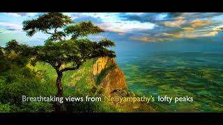 Hill stations  Kerala Tourism [upl. by Reklaw]