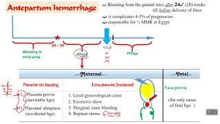 Antepartum hemorrhage  part 1 [upl. by Korey]