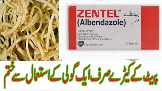 Zentel tablets  Albendazole  400mg  uses side effects and contraindications in urdu and Hindi [upl. by Samuele410]