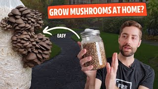 How To Get Started Growing Mushrooms At Home From EASY to HARD [upl. by Wilfreda]