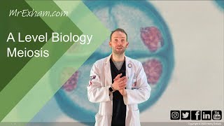 Meiosis and chromosome mutation  A Level Biology [upl. by Ekle]