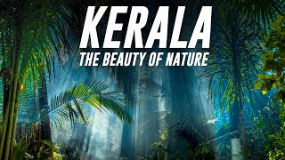 Kerala  The Real Beauty of Nature 4K  Cinematic Video [upl. by Syst]