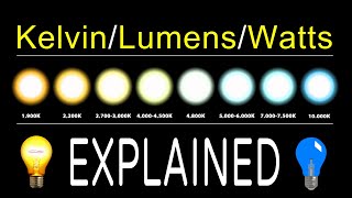 How To Chose LED Bulbs  Kelvin Lumens amp Watts EXPLAINED [upl. by Azmah29]