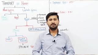 148 Transport in Man  Blood circulatory system  Composition of plasma  Fsc Biology class11 [upl. by Arateehc]