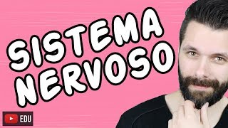 SISTEMA NERVOSO  FISIOLOGIA  Aula  Biologia com Samuel Cunha [upl. by Tevlev]