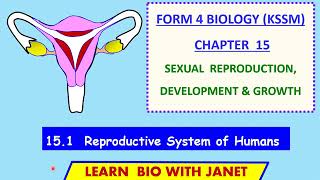 Biology Form 4 KSSM Chapter 15 151 Reproductive Systems of Humans [upl. by Abroms]