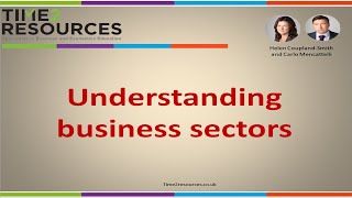 Understanding business sectors [upl. by Eustacia]