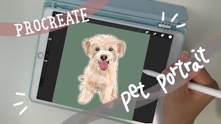 Procreate  Pet Portrait Illustration draw with me [upl. by Arney]