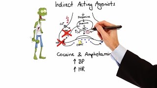 Pharmacology  ADRENERGIC RECEPTORS amp AGONISTS MADE EASY [upl. by Eceined264]