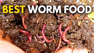 What to Feed Worms Vermicompost Made EASY [upl. by Rosemary]