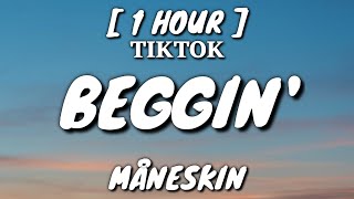 Måneskin  Beggin Lyrics 1 Hour Loop TikTok Song [upl. by Eisteb]