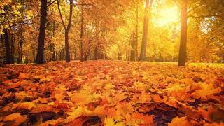 Autumn Days – Primary School Hymn [upl. by Suivatco]