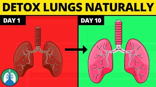 5 Ways to Detox and Cleanse Your Lungs Naturally [upl. by Frannie]