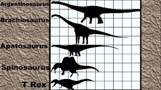 Dinosaur Size Comparison 2D [upl. by Lednyc]