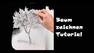 Zeichnen lernen Baum zeichnen mit Bleistift [upl. by Eseerehs]