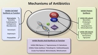 Mechanisms and Classification of Antibiotics Antibiotics  Lecture 3 [upl. by Arette]