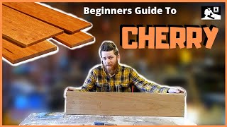 Beginners Guide To Wood Species All About Cherry [upl. by Aphra]