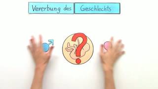 VERERBUNG DES GESCHLECHTS  Biologie  Genetik und Entwicklungsbiologie [upl. by Einohtna]