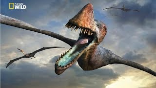 National Geographic  Flying Sky Monsters Pterosaur  New Documentary HD 2018 [upl. by Spada]