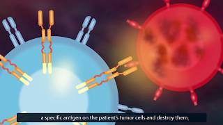 CAR TCell Therapy How Does It Work [upl. by Ellennod]