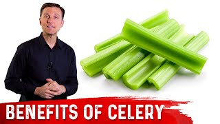 Top 11 Health Benefits of CELERY – Dr Berg [upl. by Saw]