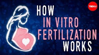 How in vitro fertilization IVF works  Nassim Assefi and Brian A Levine [upl. by Midge]