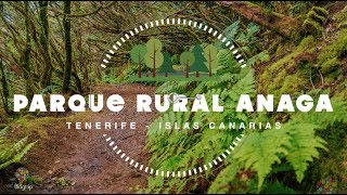 Viaje a Tenerife Islas Canarias parque rural natural Anaga 🏝 4K [upl. by Oflodor683]